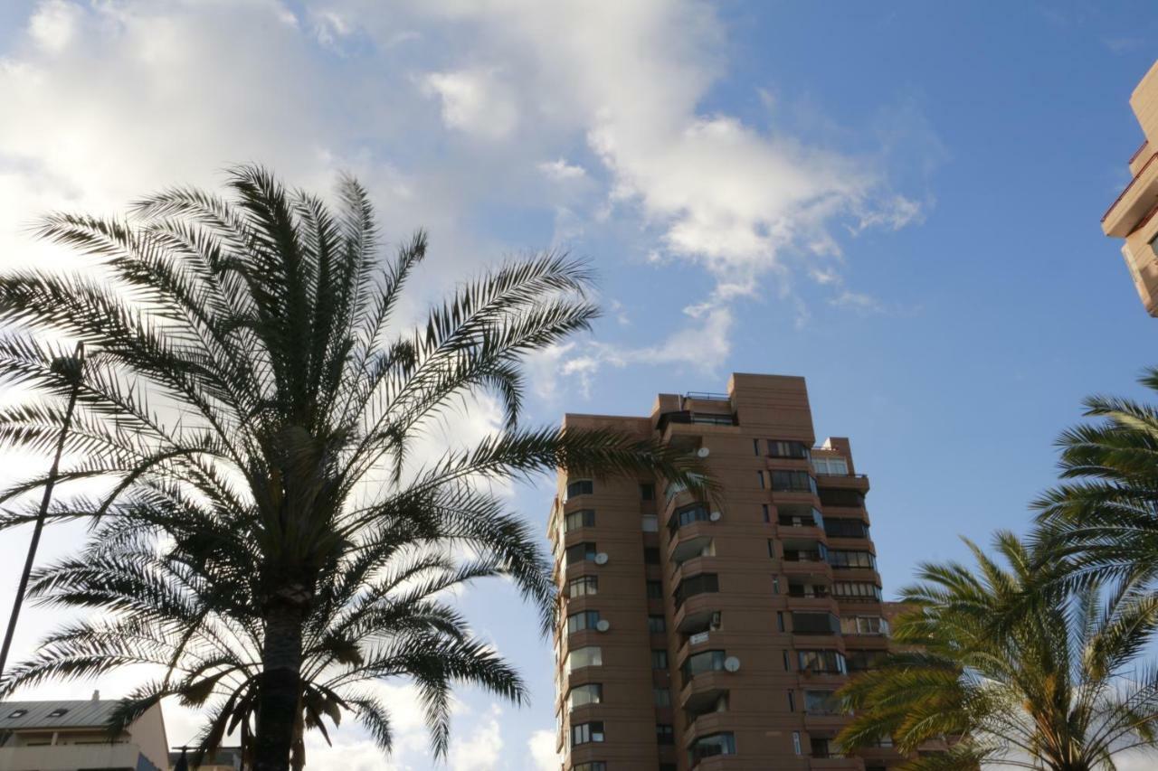 Sur Suites Palmeras 2 فوينخيرولا المظهر الخارجي الصورة